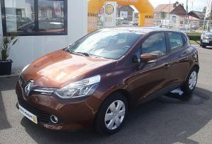 Intense Brown