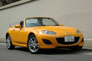 Sunflower Yellow