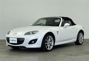 Crystal White Pearl Mica