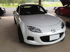 Crystal White Pearl Mica