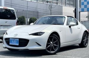 Crystal White Pearl Mica