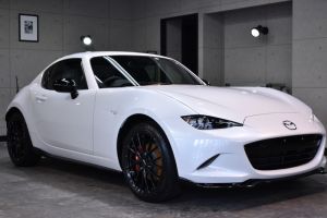 Snowflake White Pearl Mica