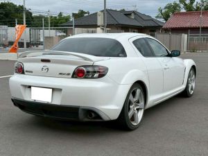 Snowflake White Pearl Mica