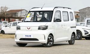 Polar White (EN)