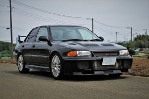 Pyrenees Black Pearl