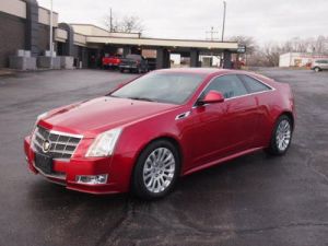 Red Obsession Tintcoat