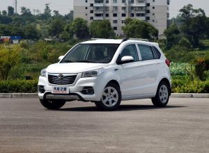 Tianshan Mountain White (EN)