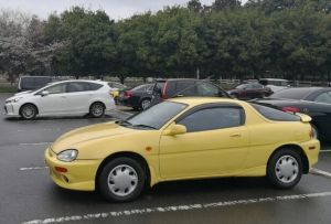 Passion Yellow Mica (EN)